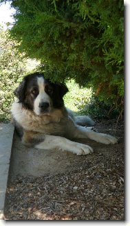 B�ra - v�ce na www.uandyho.blog.cz