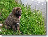 V p�ti m�s�c�ch u rybn�ka