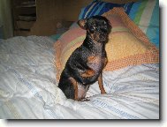 Zorinka-12 m�s�c�