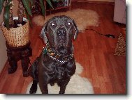 Nero 10 m�s�c�