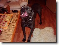 Nero 10 m�s�c�