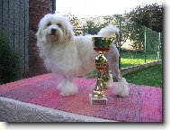 Celebrite s poh�rem