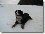 Jim z Ak�tov� aleje