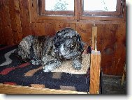 na chat� v pel�ku, m�m tady u� 13 let