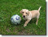 Andy(End�sek) 2 m�s�ce