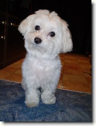 Bety je ost��hana