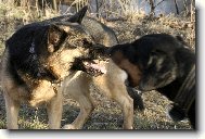 S�hni na ten klacek a uvid�!