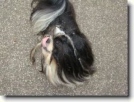 M�am, to byla dobr�tka