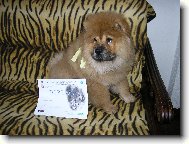 prvn� v�stavn� �sp�ch