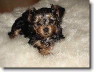 P�eji kr�sn� den.....