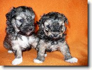 �t��ata lv��ka