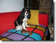 To bylo ale velk� ucho-:)