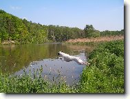 Diablo ze �t�pek