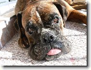 Blondy se vyh��v� na lod�ii