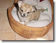 jsem u� velkej kluk