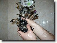 Monty z D���na