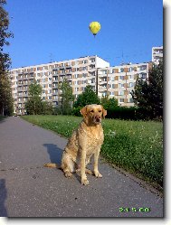 B�ra a Balon