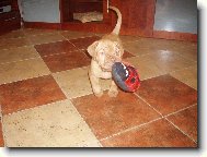 Cora a jej� beru�ka