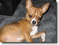 Tak tohle je n� Roki�ek