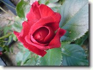 pop�nav� r��e