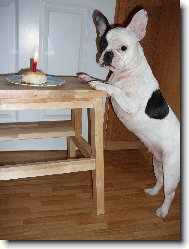 lilinka je velk� holka