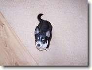 Anynka sestra Max��ka