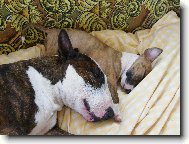 takhle spolu spink�me