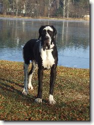 Etoscha od Han�nsk�ho lomu