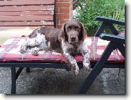 zaslou�en� odpo�inek