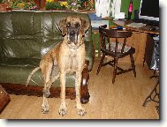 Catrey B��in sen