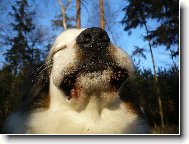 hahaha - dostal jsem v�s