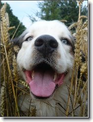 ���...na�el jsem t�