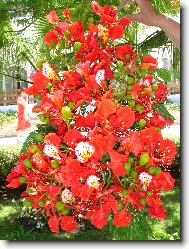 Moc p�kn� ale mn� nezn�m�