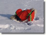 �e mn� nev�d�te