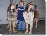 CHS z Polabsk�ch blat