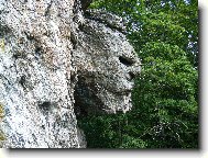 Zkamen�l� obluda