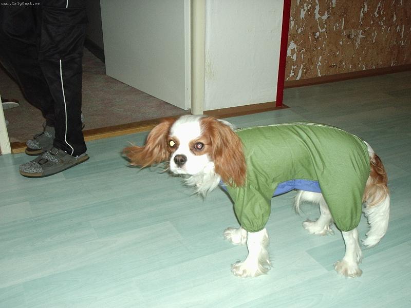 Foto: nezd� se v�m, �e jsem n�jak vyrostl