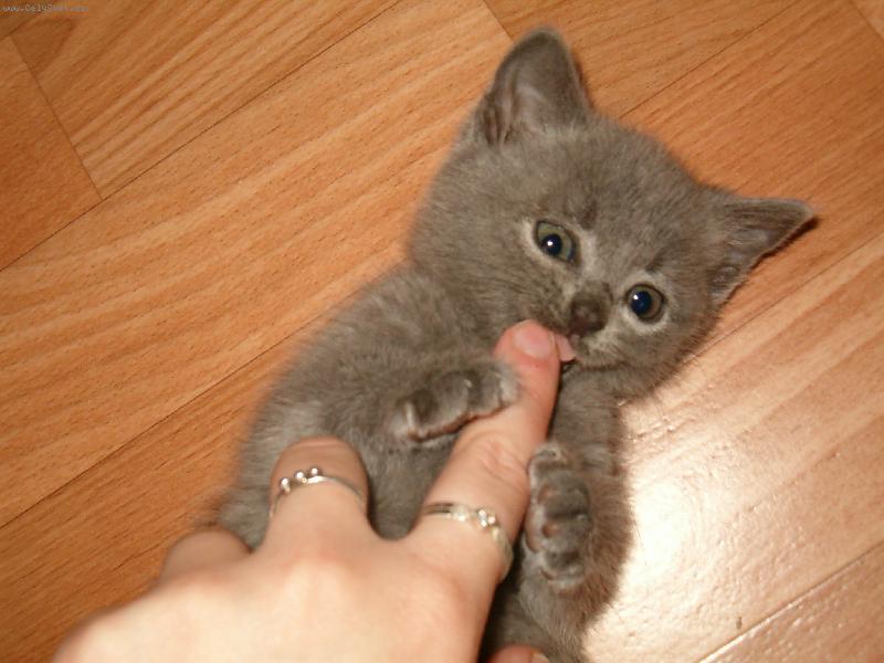 Foto: Sisinka-na�e zlat��ko