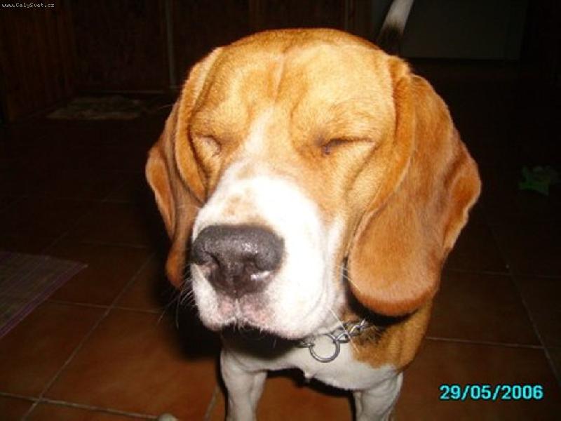 Foto: �o to bolo?! Blesk?!