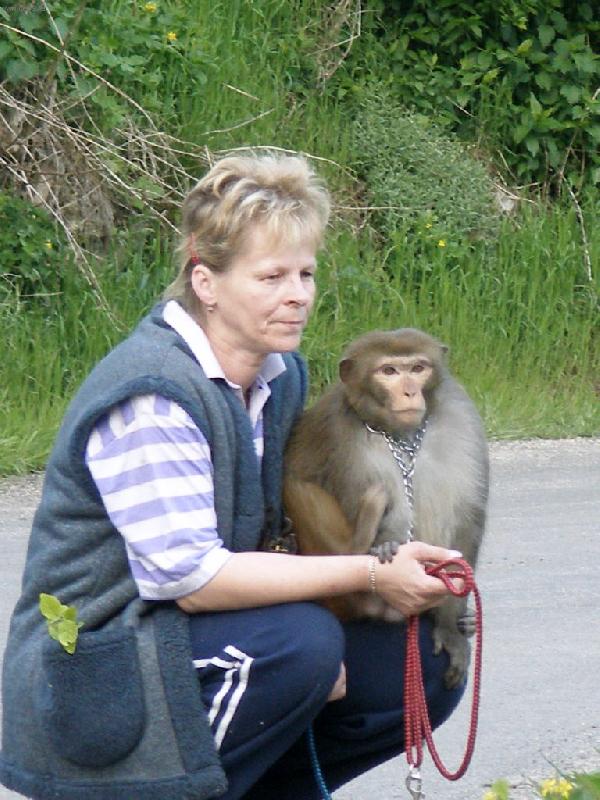 Foto: Kokinek na proch�zce-Kokinek �el na proch�zku, ale u� ho boleli no�i�ky =D