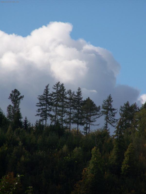 Foto: U n�s za humny...