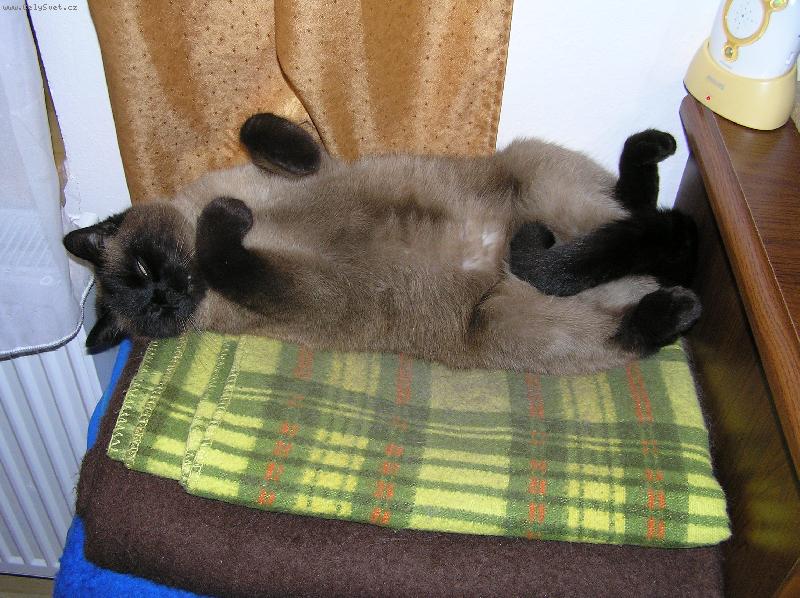 Foto: Mat�sek-Moje nejoblibenejsi poloha