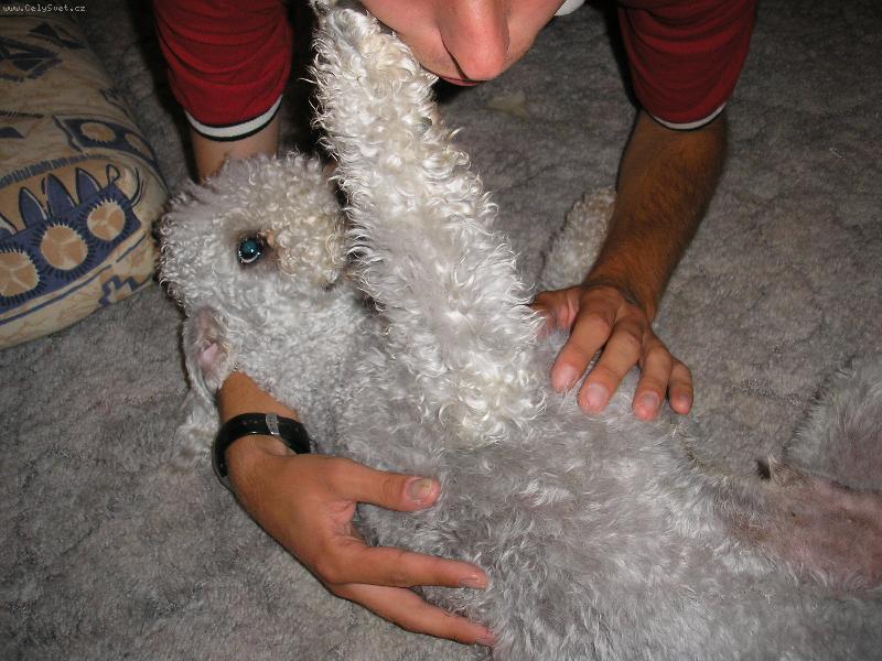 Foto: taky t� pohlad�m