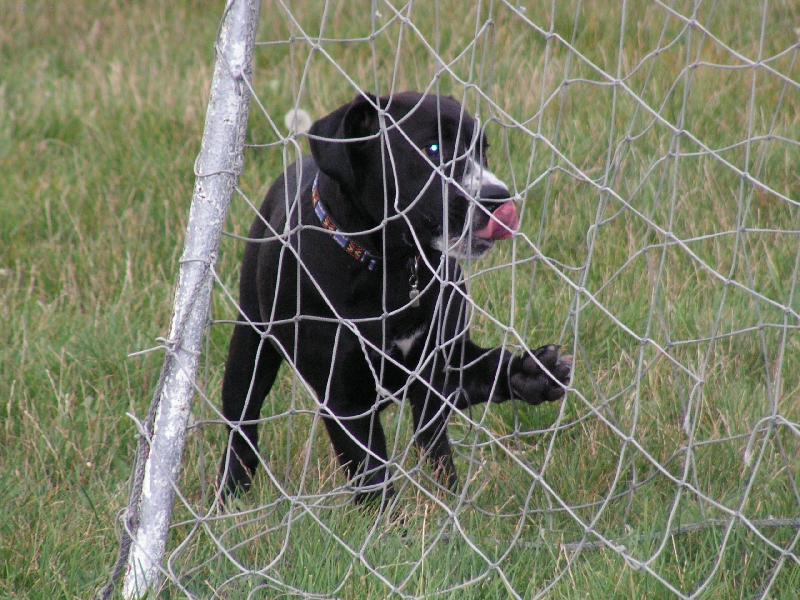 Foto: Max-k �emu tohle slou��?