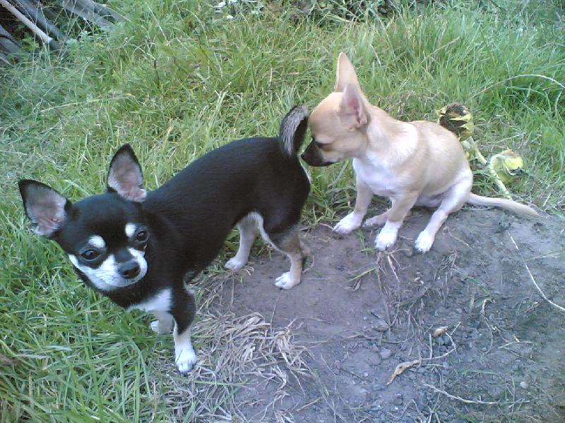 Foto: K�mo�ky-Tak tam toho moc nenajdu!