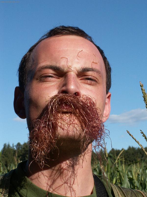 Foto: Loupe�n�k-nejezte moc kuku�ice, jinak v�m narostou t����kov� fousiska:)))