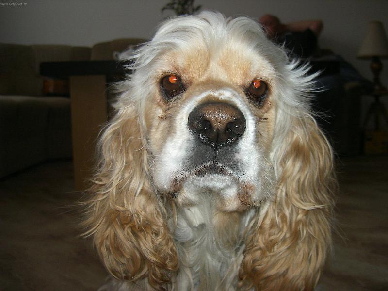 Foto: Alf-u� jsem vyhr�l:-) ?