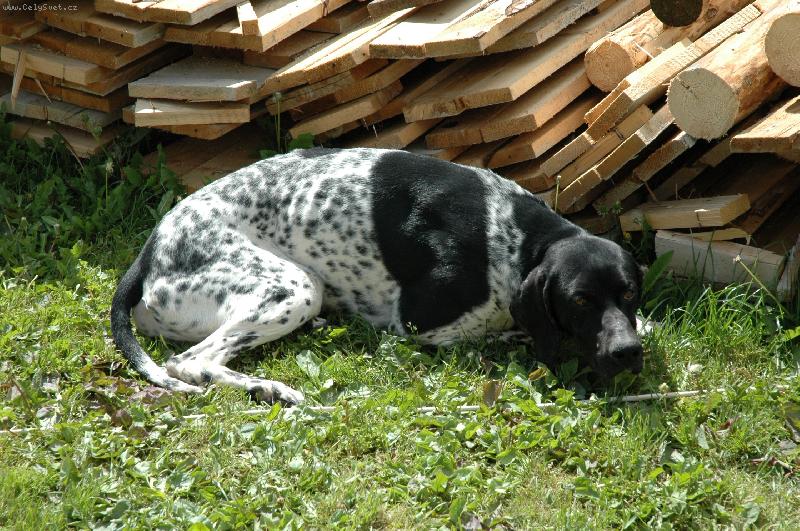 Foto: Je�t� chvilinku si odpo�inu