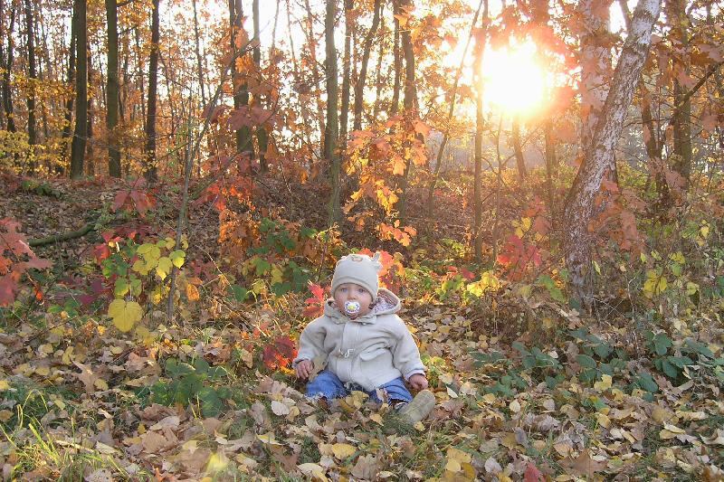 Foto: podzimn� n�lada-a na�e zlat��ko