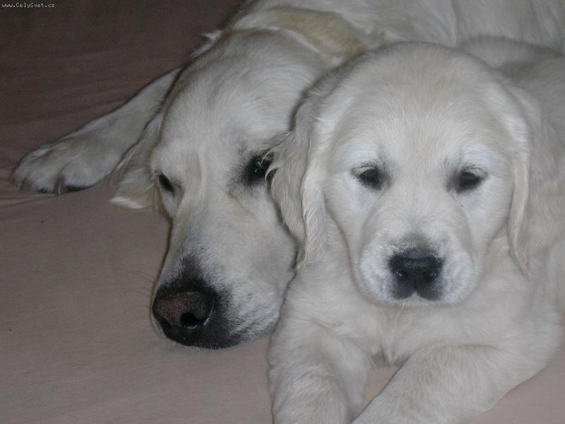 Foto: �t�n�tko-�t���tko se svoj� maminkou..:D